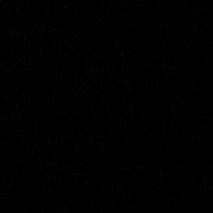 Meet your Posher, Zaria